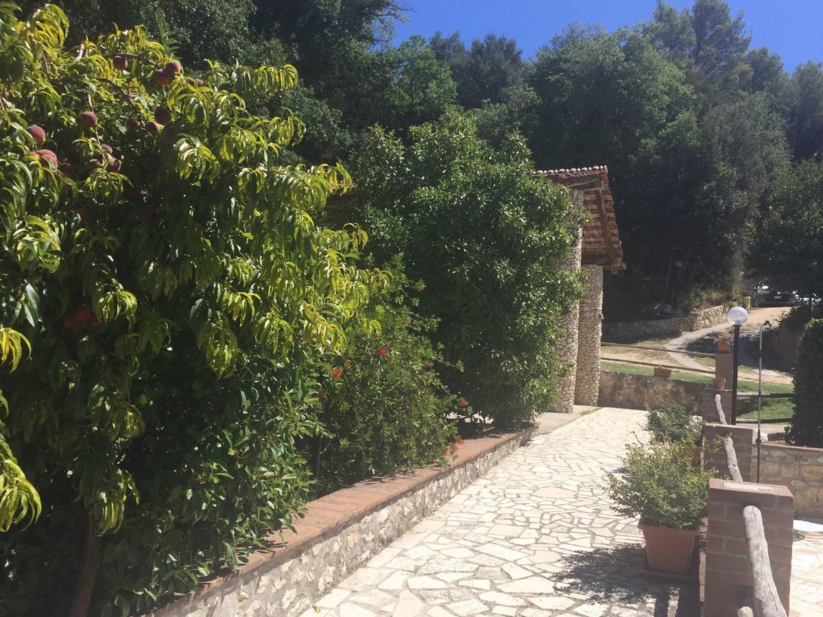 Belvedere Cramaccioli Vigne Exterior foto